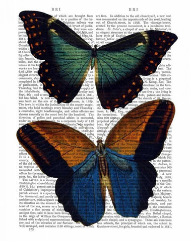 Butterflies 4 Black Ornate Wood Framed Art Print with Double Matting by Fab Funky