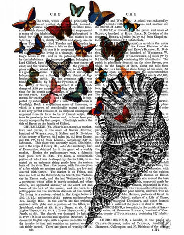 Conch Shell and Butterflies Black Ornate Wood Framed Art Print with Double Matting by Fab Funky