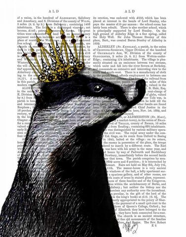 Badger King White Modern Wood Framed Art Print with Double Matting by Fab Funky