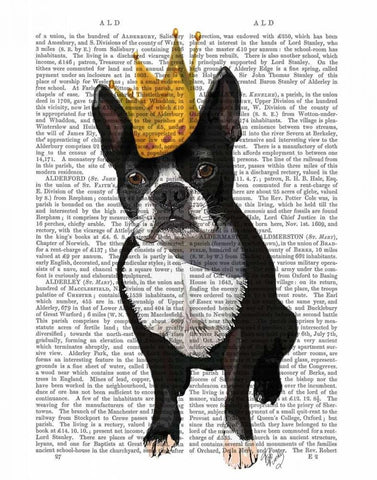 Boston Terrier And Crown White Modern Wood Framed Art Print with Double Matting by Fab Funky
