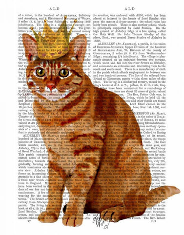 Ginger Cat with Crown Full Black Ornate Wood Framed Art Print with Double Matting by Fab Funky