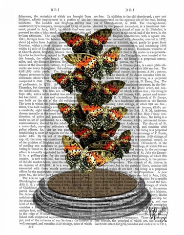 Multicoloured Butterflies in Bell Jar Black Ornate Wood Framed Art Print with Double Matting by Fab Funky