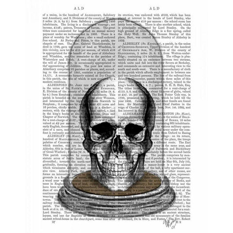 Skull In Bell Jar Black Modern Wood Framed Art Print with Double Matting by Fab Funky