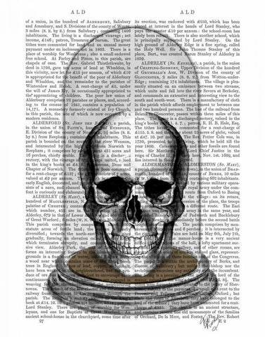 Skull In Bell Jar White Modern Wood Framed Art Print with Double Matting by Fab Funky