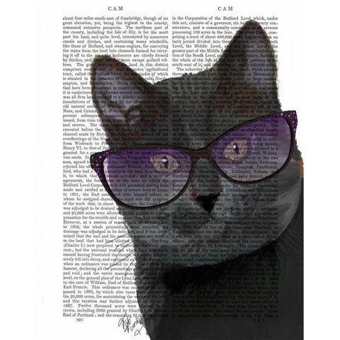 Black Cat with Sunglasses White Modern Wood Framed Art Print by Fab Funky