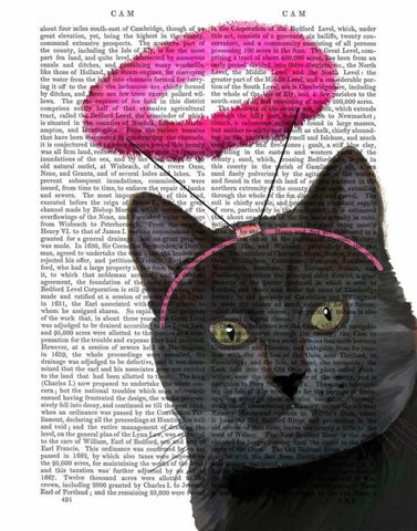 Black Cat With Pink Angel Halo Black Ornate Wood Framed Art Print with Double Matting by Fab Funky