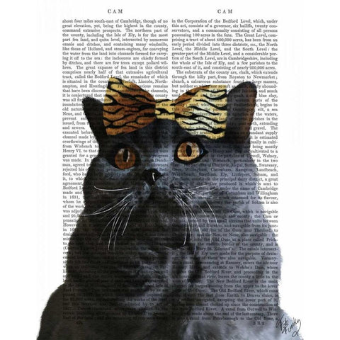 Grey Cat with Leopard Bow Gold Ornate Wood Framed Art Print with Double Matting by Fab Funky