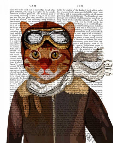 Flying Cat White Modern Wood Framed Art Print with Double Matting by Fab Funky