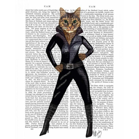 Catwoman Black Modern Wood Framed Art Print with Double Matting by Fab Funky