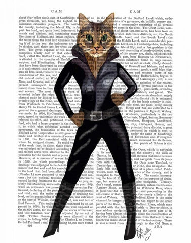 Catwoman White Modern Wood Framed Art Print with Double Matting by Fab Funky