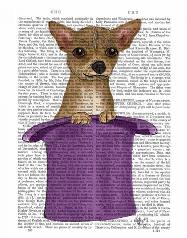 Chihuahua in Top Hat White Modern Wood Framed Art Print with Double Matting by Fab Funky