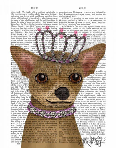 Chihuahua And Tiara Black Ornate Wood Framed Art Print with Double Matting by Fab Funky