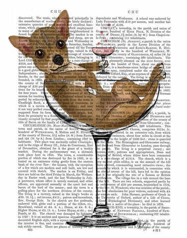 Chihuahua in Cocktail Glass White Modern Wood Framed Art Print with Double Matting by Fab Funky