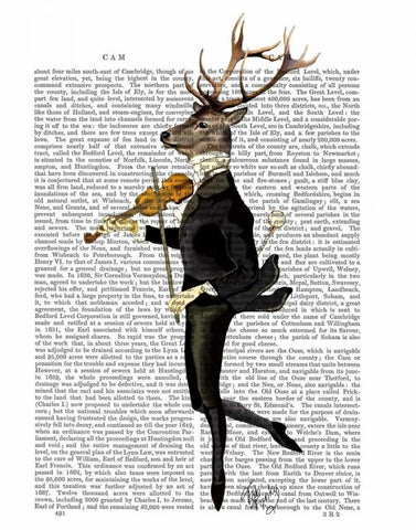 Dancing Deer with Violin White Modern Wood Framed Art Print with Double Matting by Fab Funky