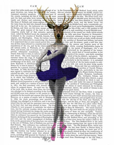 Ballet Deer in Blue White Modern Wood Framed Art Print with Double Matting by Fab Funky