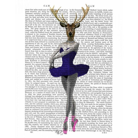 Ballet Deer in Blue Black Modern Wood Framed Art Print with Double Matting by Fab Funky