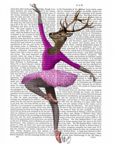 Ballet Deer in Pink White Modern Wood Framed Art Print with Double Matting by Fab Funky