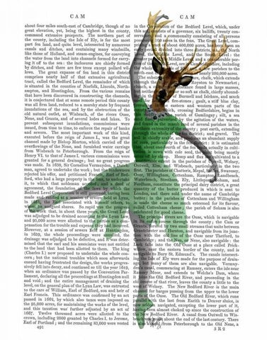 Ballet Deer in Green White Modern Wood Framed Art Print with Double Matting by Fab Funky