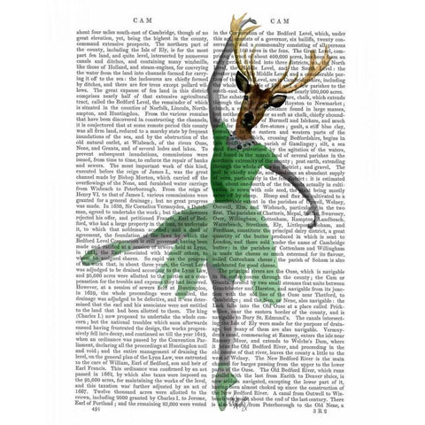 Ballet Deer in Green Black Modern Wood Framed Art Print by Fab Funky