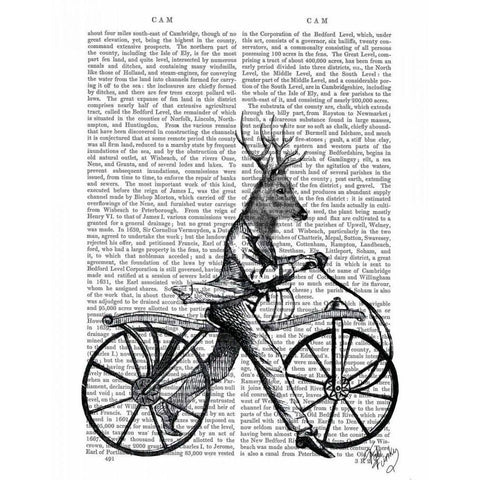 Dandy Deer on Vintage Bicycle White Modern Wood Framed Art Print by Fab Funky