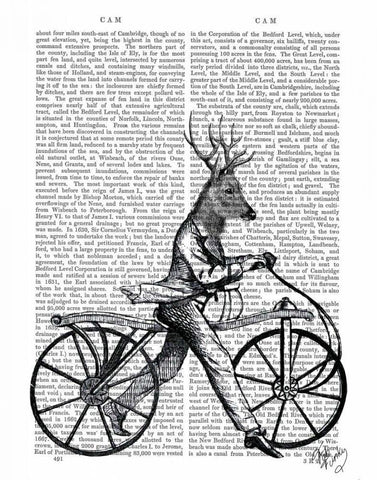 Dandy Deer on Vintage Bicycle White Modern Wood Framed Art Print with Double Matting by Fab Funky