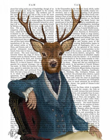 Distinguished Deer Portrait White Modern Wood Framed Art Print with Double Matting by Fab Funky