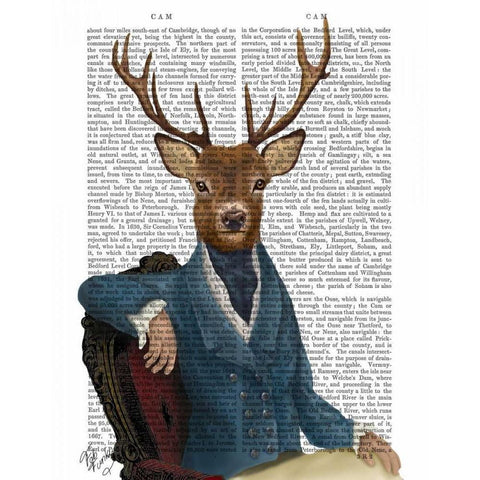 Distinguished Deer Portrait Black Modern Wood Framed Art Print with Double Matting by Fab Funky