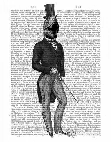 Dinosaur TRex Man 2 Black Ornate Wood Framed Art Print with Double Matting by Fab Funky