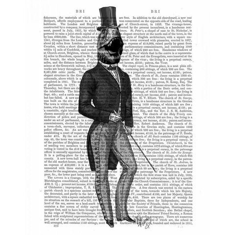 Dinosaur TRex Man 2 Black Modern Wood Framed Art Print with Double Matting by Fab Funky