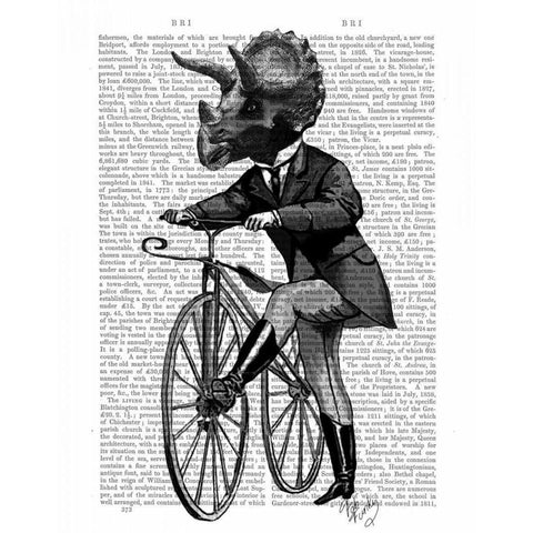 Triceratops Man on Bike Dinosaur Black Modern Wood Framed Art Print with Double Matting by Fab Funky