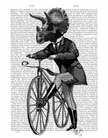 Triceratops Man on Bike Dinosaur Black Ornate Wood Framed Art Print with Double Matting by Fab Funky