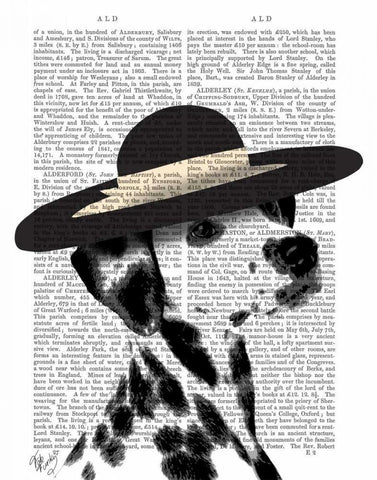 Dalmatian and Brimmed Black Hat Black Ornate Wood Framed Art Print with Double Matting by Fab Funky