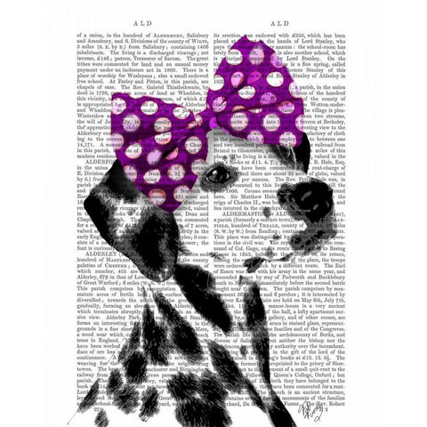 Dalmatian with Purple Bow on Head Black Modern Wood Framed Art Print with Double Matting by Fab Funky