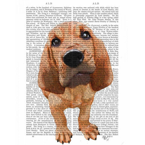 Bloodhound Puppy Black Modern Wood Framed Art Print with Double Matting by Fab Funky