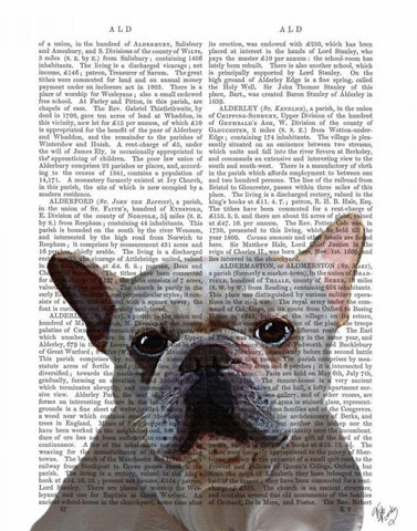 White French Bulldog Plain White Modern Wood Framed Art Print with Double Matting by Fab Funky