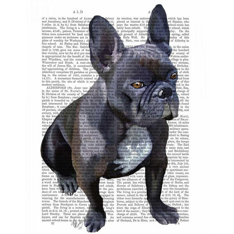 French Bulldog Plain Black Modern Wood Framed Art Print with Double Matting by Fab Funky