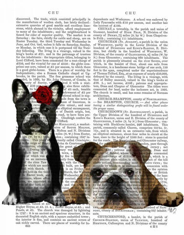 French Bulldog and English Bulldog Black Ornate Wood Framed Art Print with Double Matting by Fab Funky