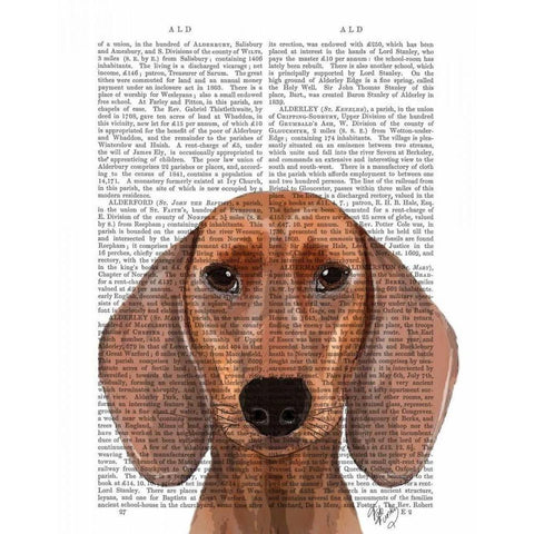 Dachshund Illustration Plain Gold Ornate Wood Framed Art Print with Double Matting by Fab Funky