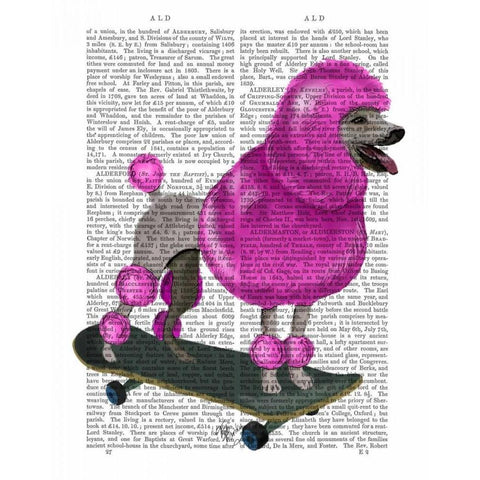 Pink Poodle and Skateboard Gold Ornate Wood Framed Art Print with Double Matting by Fab Funky