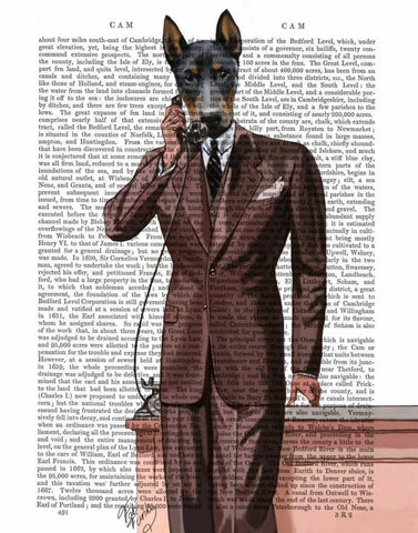 Doberman on Phone Black Ornate Wood Framed Art Print with Double Matting by Fab Funky