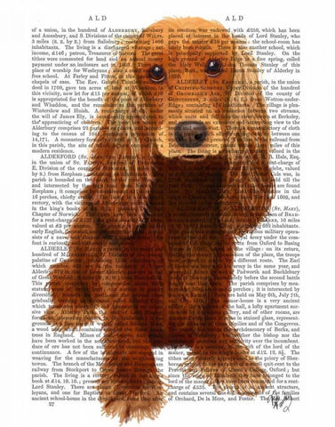 Cocker Spaniel Plain White Modern Wood Framed Art Print with Double Matting by Fab Funky