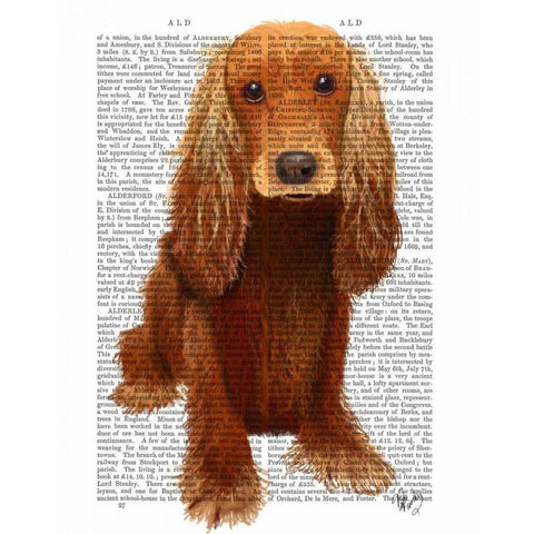 Cocker Spaniel Plain White Modern Wood Framed Art Print by Fab Funky