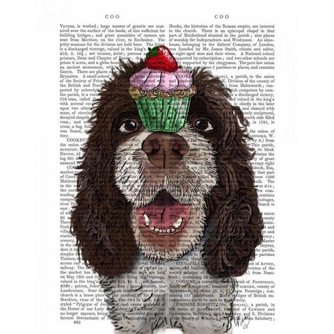 Springer Spaniel with Cupcake White Modern Wood Framed Art Print by Fab Funky