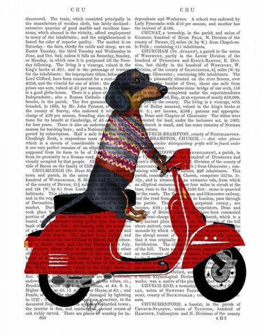 Dachshund on a Moped White Modern Wood Framed Art Print with Double Matting by Fab Funky