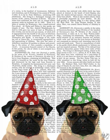 Party Pugs Pair White Modern Wood Framed Art Print with Double Matting by Fab Funky