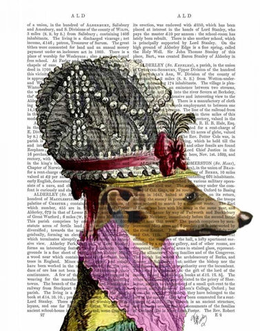 Greyhound in 16th Century Hat White Modern Wood Framed Art Print with Double Matting by Fab Funky