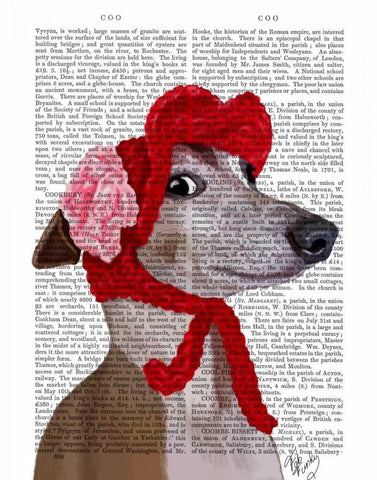 Greyhound with Red Woolly Hat White Modern Wood Framed Art Print with Double Matting by Fab Funky