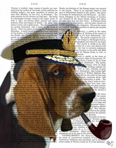 Basset Hound Sea Dog Black Ornate Wood Framed Art Print with Double Matting by Fab Funky