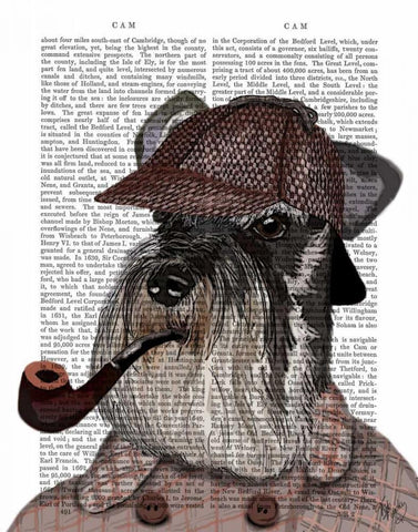 Schnauzer Sherlock Black Ornate Wood Framed Art Print with Double Matting by Fab Funky