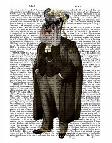 Schnauzer Lawyer Black Ornate Wood Framed Art Print with Double Matting by Fab Funky